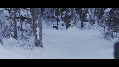Lake Louise