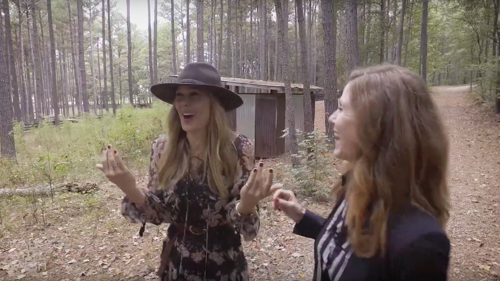 Walks With Walsh at Serenbe featuring Mary Alice Stephenson