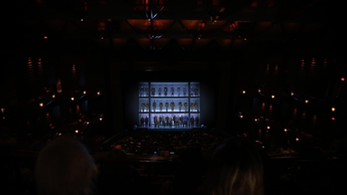 The Luminary Award for Community Engagement: The Atlanta Opera, Veterans Program