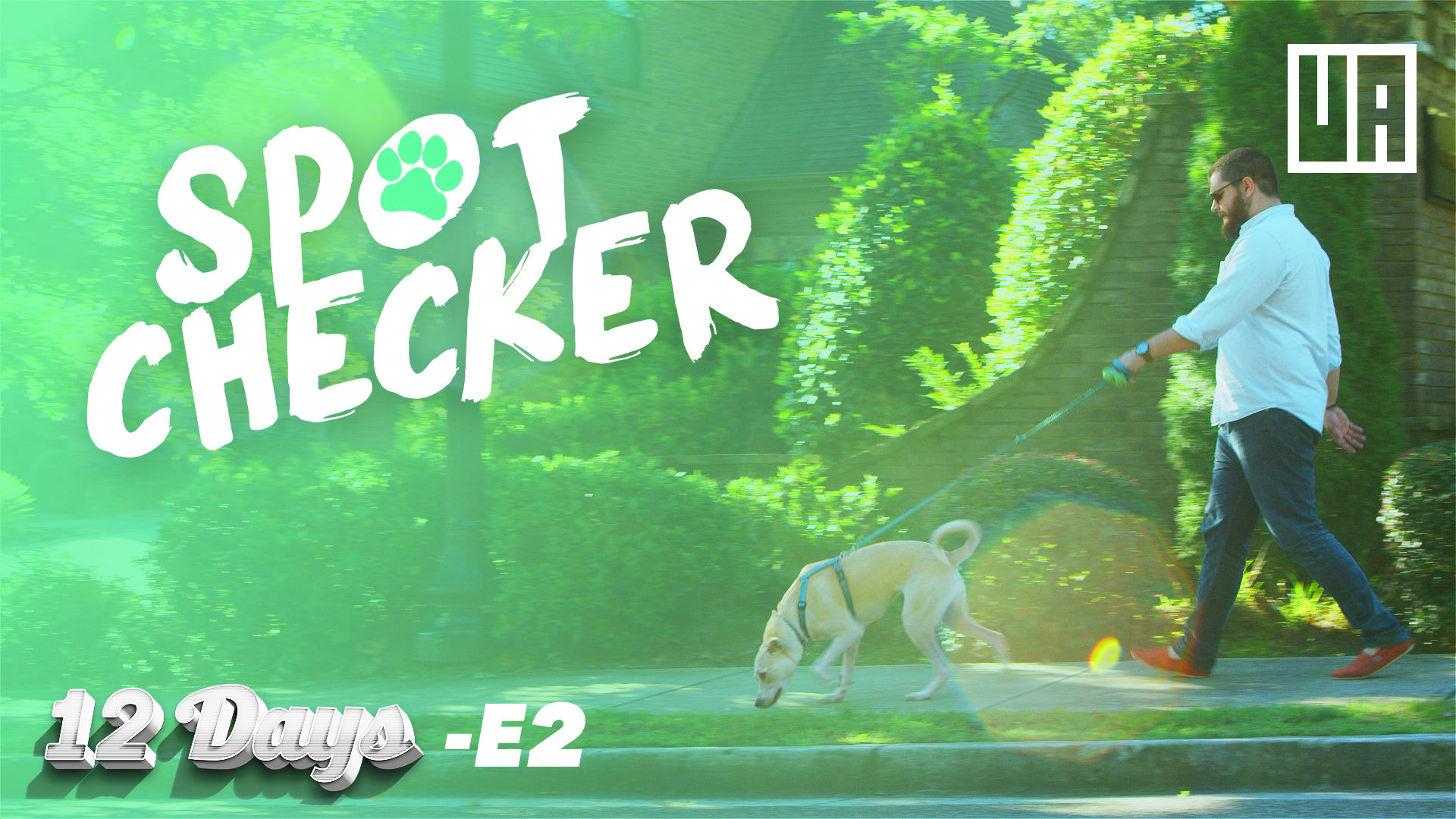 E2 - Spot Checker